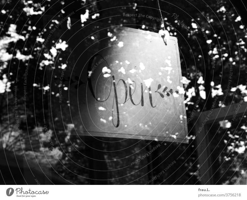 The small pastry shop in the beautiful tree-lined street, from which it always smells so temptingly of freshly baked cake, is open again. leaves reflection