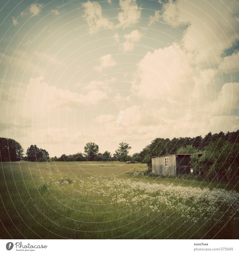 Peaceful Environment Nature Landscape Sky Clouds Horizon Spring Summer Beautiful weather Garden Meadow Retro Hut Exterior shot Colour photo Subdued colour