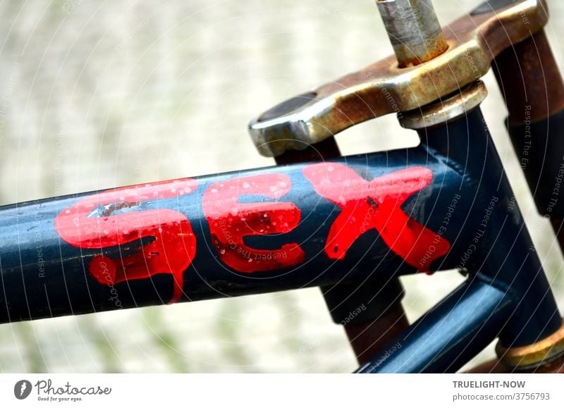 vital | SEX stands in big, screaming red letters on the parked and forgotten steel blue frame of an old mountain bike, close-up detail Sex Lust Desire Emotions