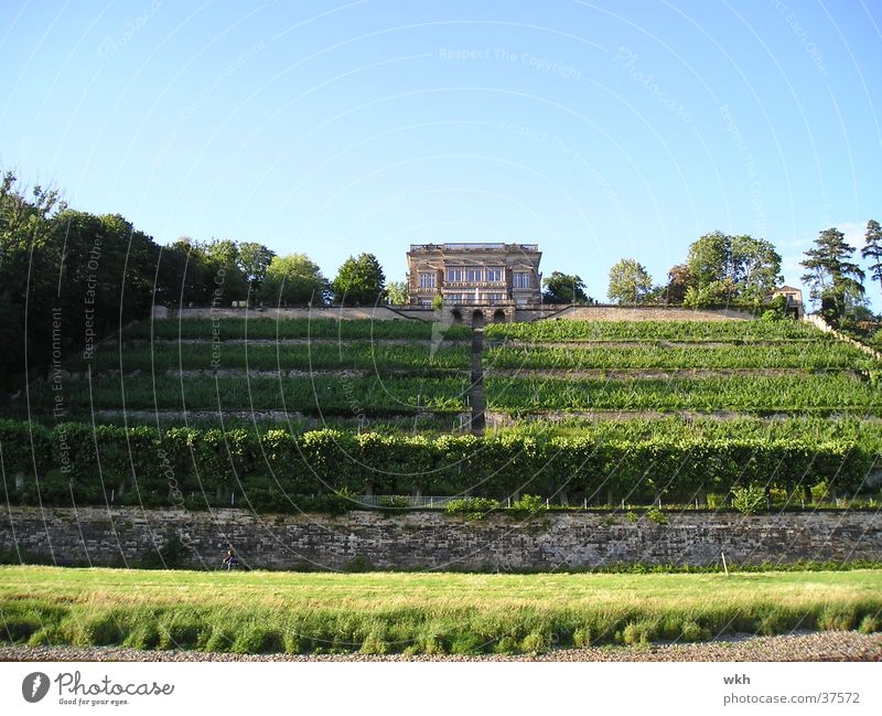 Villa Stockhausen Park Dresden Summer Architecture Landscape Elbe