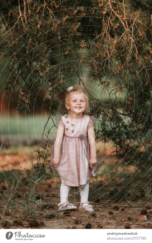 little cute girl have fun under tree with cones on a sunny spring day young kid happiness beautiful caucasian cheerful child childhood green happy lifestyle