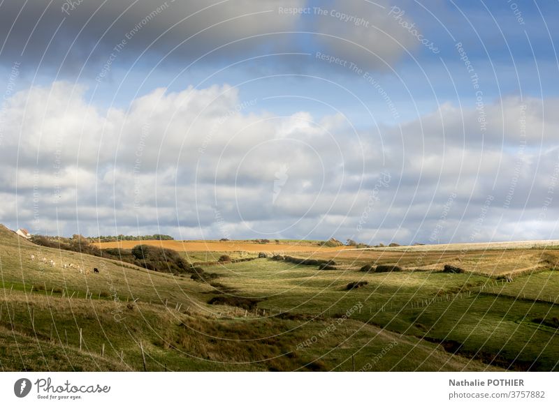 Country, priaries and fields on the opal coast country pasture horizon pas de calais north ccote dopale herbr nature environment sky clouds countryside farm