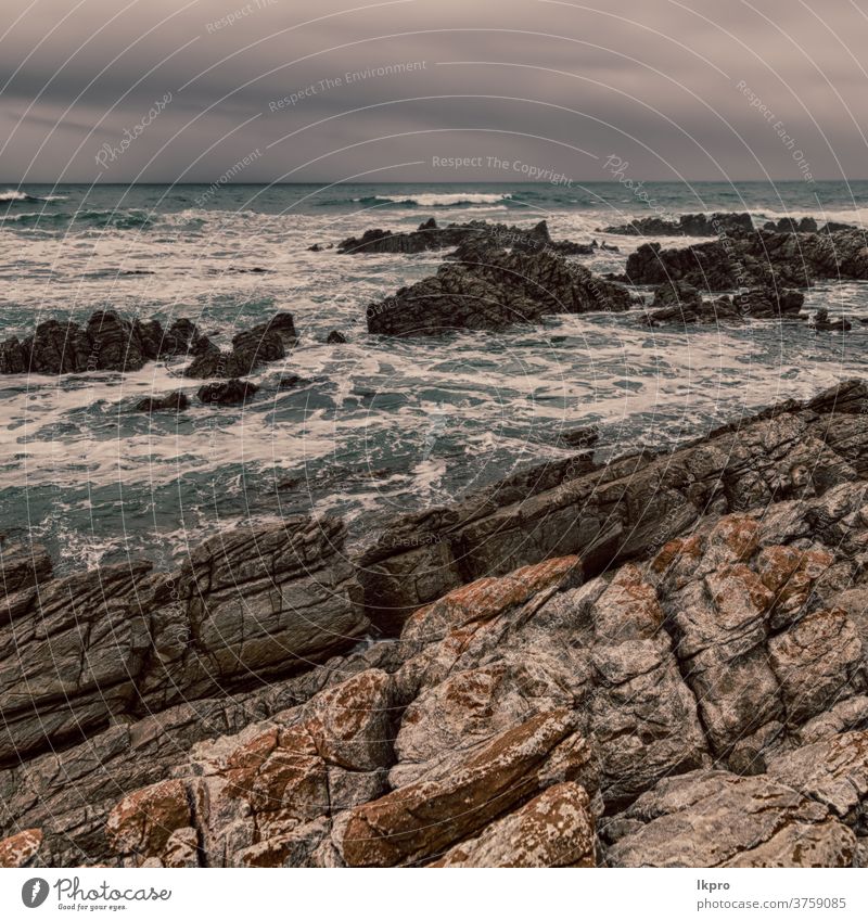 in south  africa beach walkway  near indian ocean sky path sea nature wooden sand boardwalk water coast vacation travel tropical landscape shore resort island