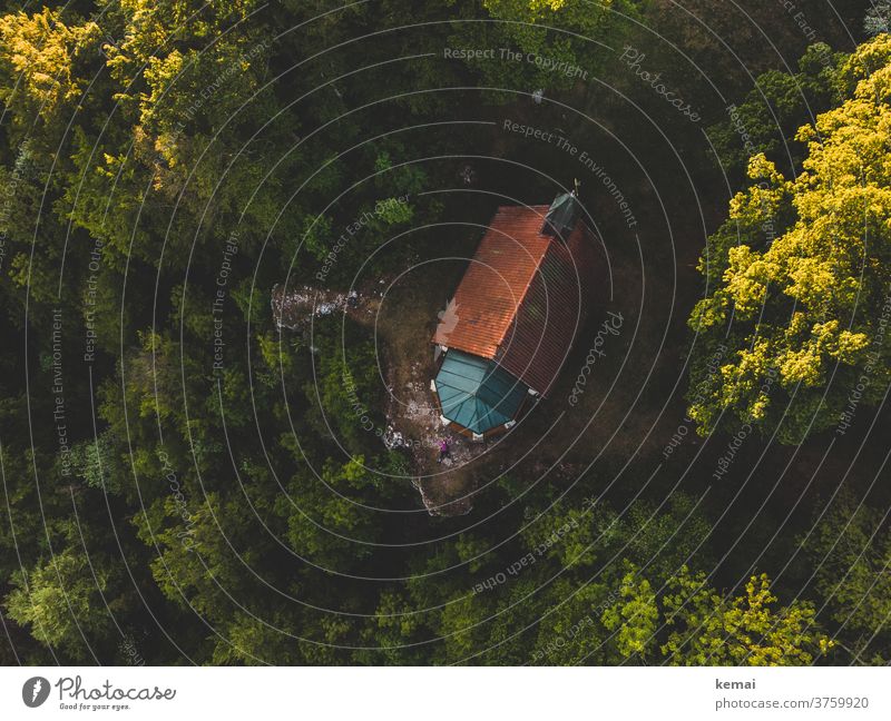 Church on the Night Row Chapel Swabian Jura Albtrauf rock rock outcrop Forest Tree Bird's-eye view UAV view Nature Landscape Green Sunlight abyss