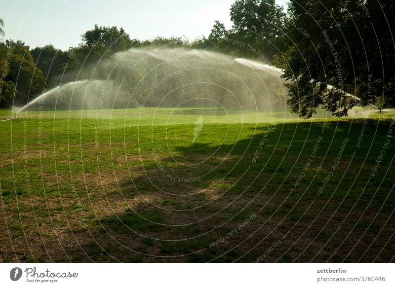 Lawn sprinklers in the Berlin Tiergarten tree Irrigation large zoo Landscape landscape park Lawn for sunbathing Deserted Park Rain raindrops Summer blasters