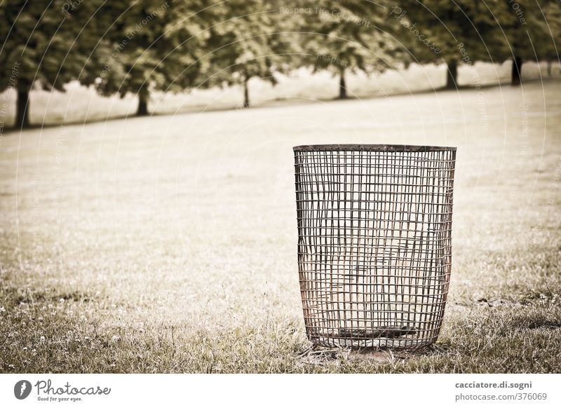 Standing alone Environment Landscape Summer Beautiful weather Tree Park Meadow Trash container Wastepaper basket Net Old Hideous Trashy Gloomy Town Orderliness