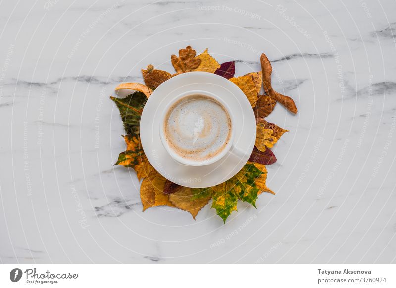 Cup of latte coffee with autumn leaves on marble fall leaf cappuccino cup maple yellow background orange season texture brown design plant thanksgiving bright