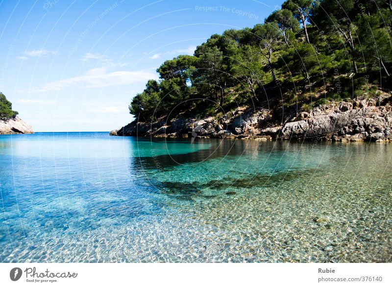 Cala Murta Relaxation Calm Swimming & Bathing Summer Summer vacation Beach Ocean Island Waves Mountain Sun Sunlight Beautiful weather Coast Discover Blue Green