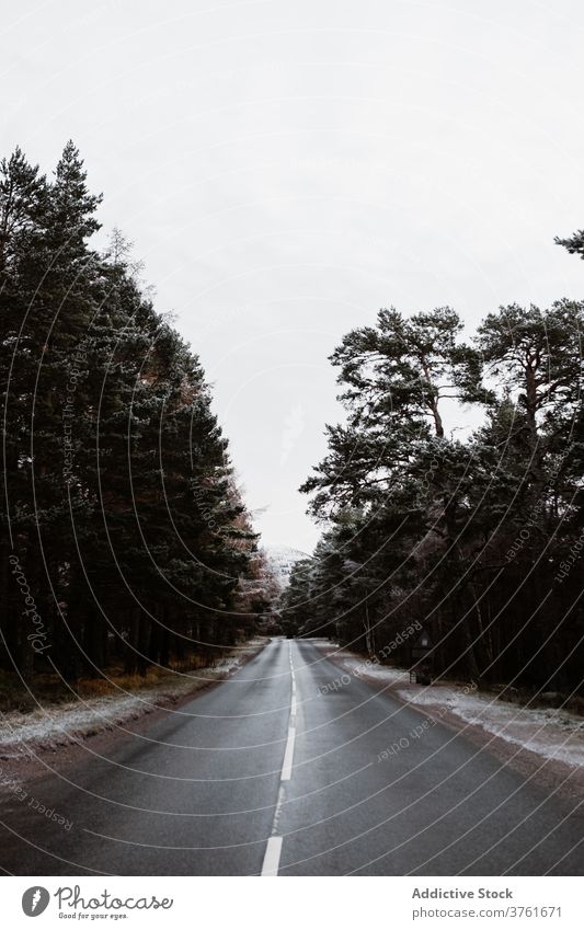 Asphalt road in winter on cloudy day forest asphalt empty scenery roadway route season snow scottish highlands scotland uk united kingdom gray sky nature