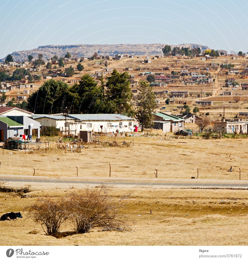 in south africa old town near the  mountain clarens field landscape trees sky autumn white scenery summer environment beautiful tranquil spectacular sunset