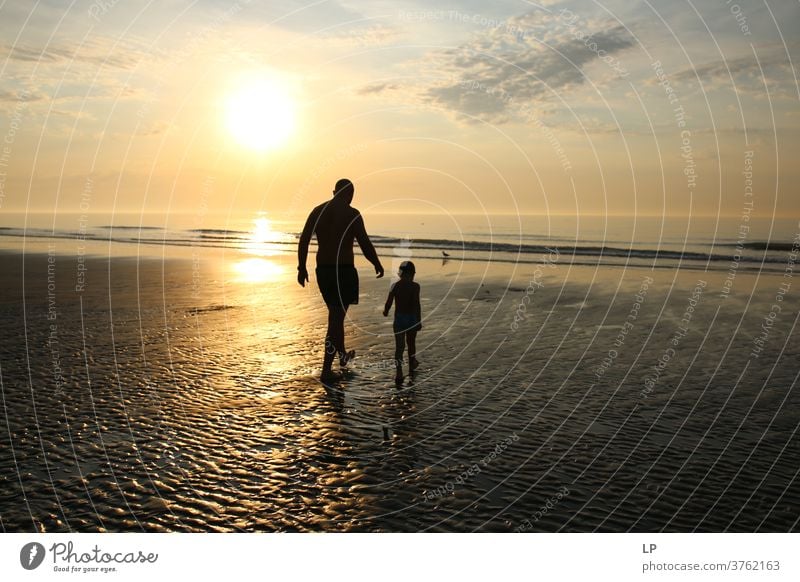 father and sun walking on a beach at sunset Parents Sunbeam Sunlight Structures and shapes Pattern Protection Joie de vivre (Vitality) Happiness Moody Emotions