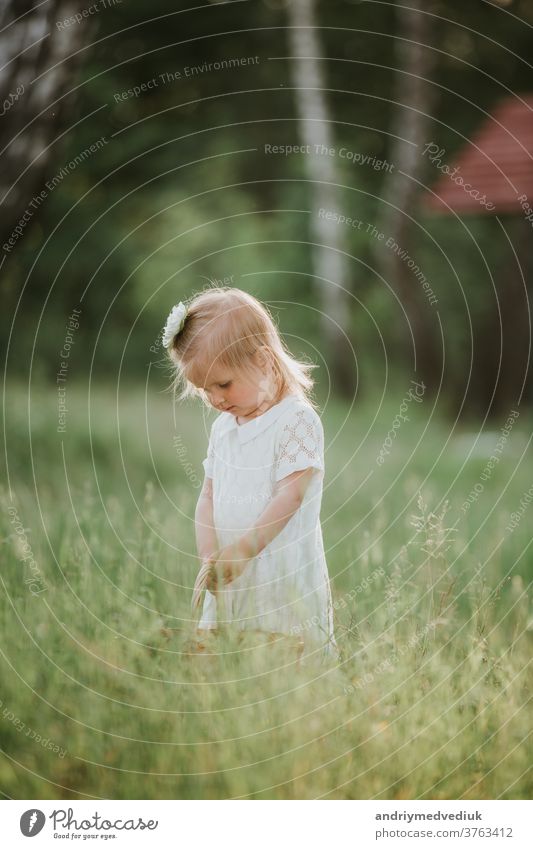 little cute girl with basket in white dress have fun in the park kid young summer happiness family attraction summer party background beautiful caucasian