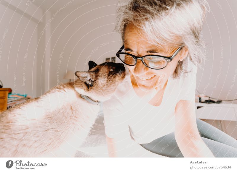 Old woman with glasses smiling and kissing his cat on his bedroom during a super bright day person pet friendship one person togetherness happiness senior adult