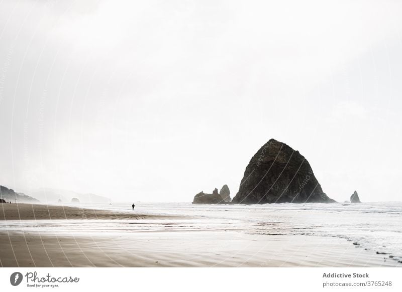 Person at seaside on cloudy day seashore person walk seascape gloomy overcast foam nature usa united states america weather sky ocean calm destination