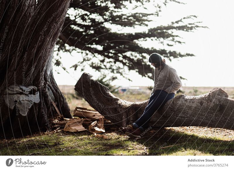 Man relaxing on tree trunk serene man forest enjoy autumn season sunlight male usa united states america sunny tranquil fall harmony nature adventure calm