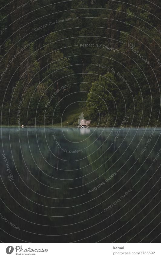 Hut on the lake shore Lake Water Surface of water Wooden hut Lonely Green Reflection early morning mist Morning fog in the morning Nature Landscape Lakeside