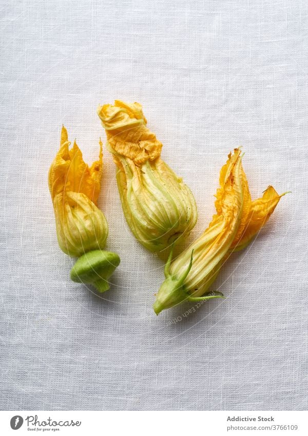 Flat lay with zucchini flowers courgette squash vegetable yellow food fresh organic diet vegetarian orange raw healthy plant edible bud natural agriculture