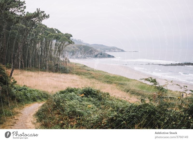 Empty beach with green plants in stormy weather sea seashore overcast gloomy coast wave landscape asturias spain frejulfe beach nature ocean cloudy travel