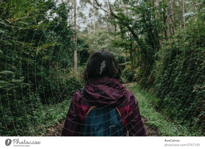 A woman in the middle of the rainforest during a moody day wearing trekking clothes young greenery nature activity sport trees colorful back single person life