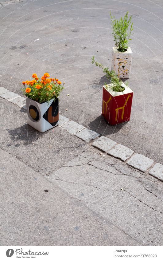 urban gardening Urban gardening Street Flower Plant Flowerpot do gardening fun Beautiful weather