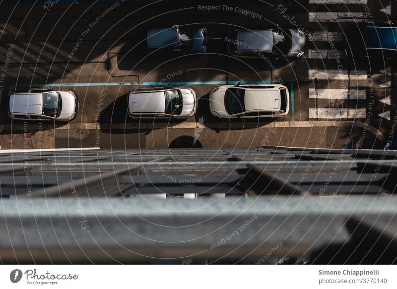 Street view from above during the sunset cars above view Sunset Zebra crossing Stripe Asphalt Pedestrian Exterior shot Town