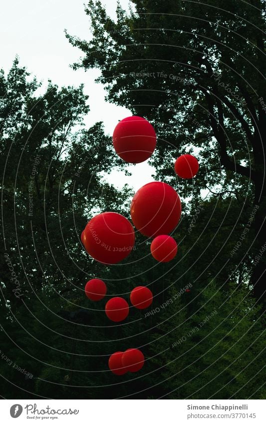 Red balloons in the sky baloon Sky Exterior shot Colour photo Party Balloon Feasts & Celebrations Joy Decoration Green Nature