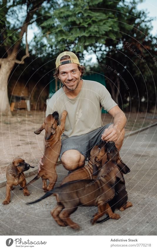 Smiling man with cute puppies in countryside puppy stroke pack dog german hound charming animal many male breed adorable pet domestic caress sweet nature