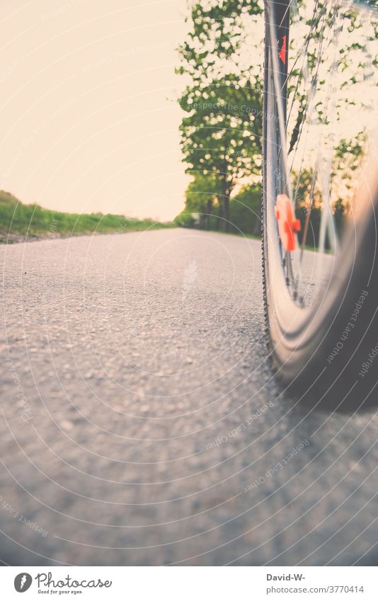 Cycling - cycling on the road Wheel Bicycle Driving Nature Movement Asphalt Reflector Street Cycling tour