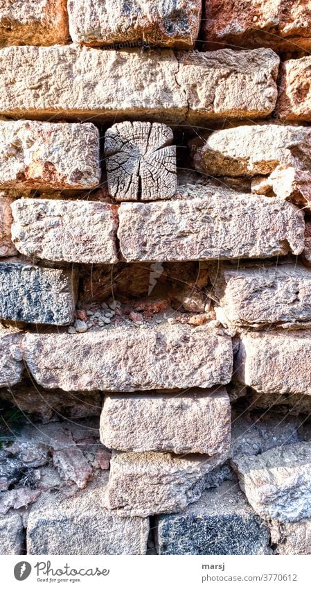 Weathered squared timber in brick wall Brick wall Wall (barrier) Square timber weathering Decline Broken Derelict Transience Old Wall (building) Colour photo