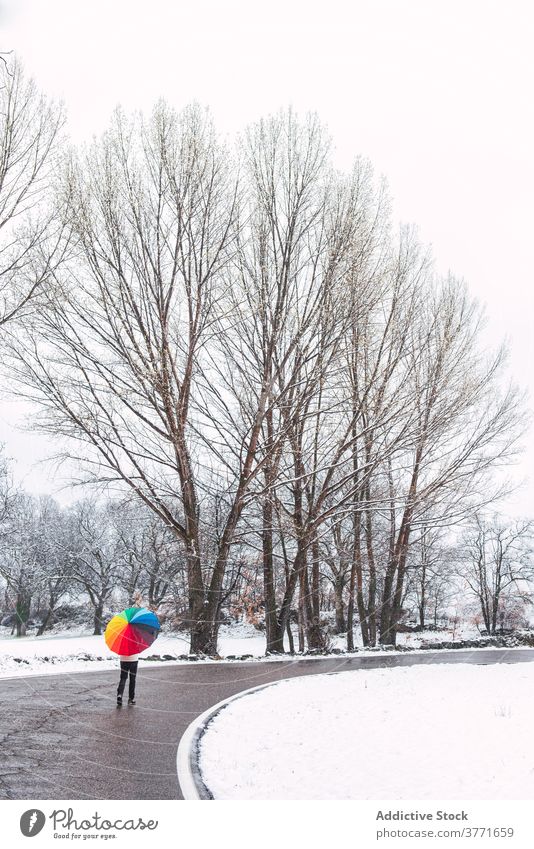 Unrecognizable person walking along road in winter park colorful umbrella snow snowfall cold season pyrenees catalonia spain weather frost holiday vacation