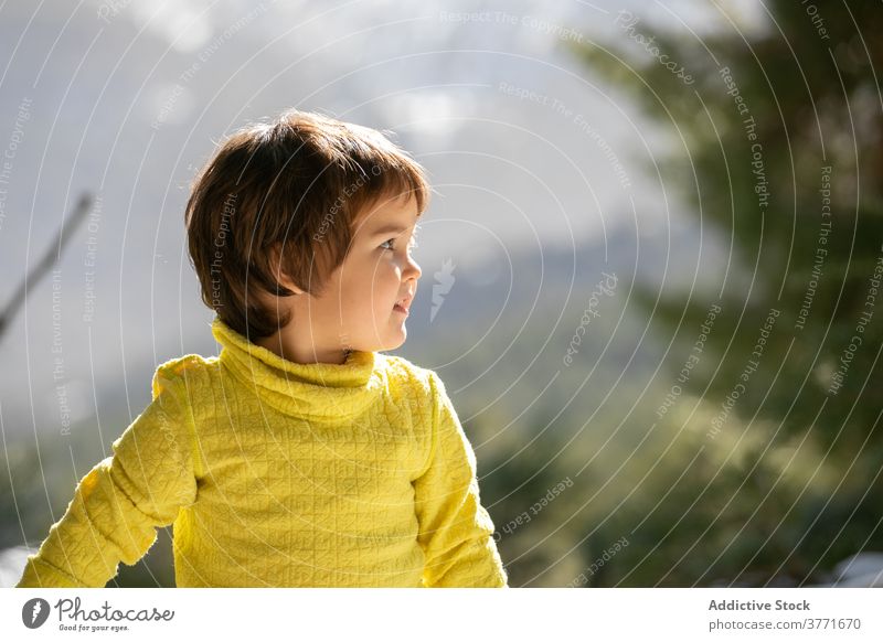 Carefree child in mountains in winter sunny boy hill enjoy childhood curious adorable season cold nature walk travel activity cheerful explore forest snow