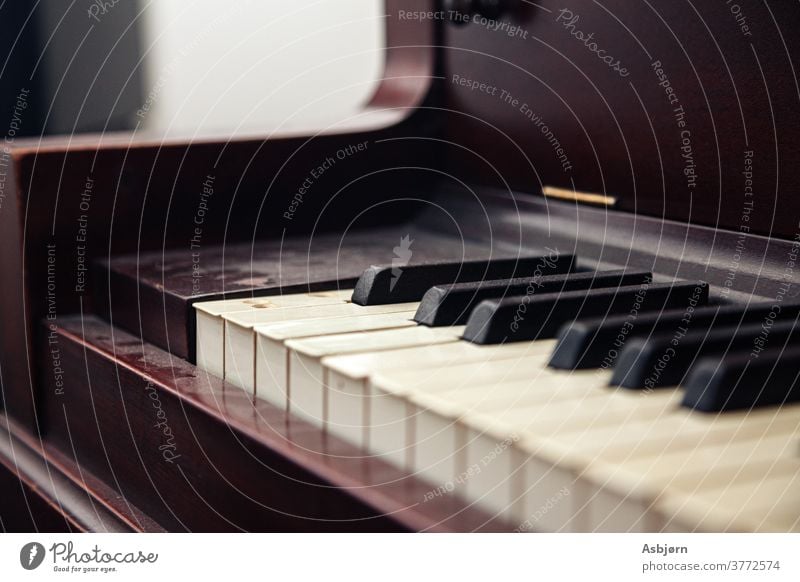 Piano Keys Dusty Beautiful craft Engineering inside strings fumble Art Musical instrument sound generation Sound Harmonious Playing Wood piano grand