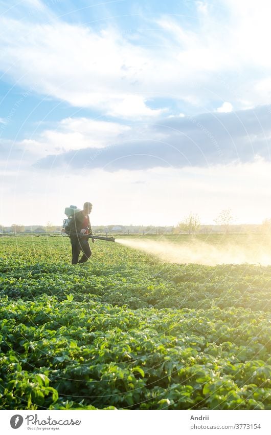 A farmer with a mist sprayer blower processes the potato plantation from pests and fungus infection. Fumigator fogger. Use chemicals in agriculture. Agriculture and agribusiness. Harvest processing.