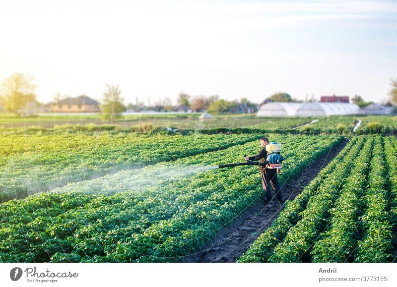 Farmer with a mist sprayer blower processes the potato plantation. Protection and care. Fumigator fogger. Environmental damage and chemical pollution. Use of industrial chemicals to protect crops.