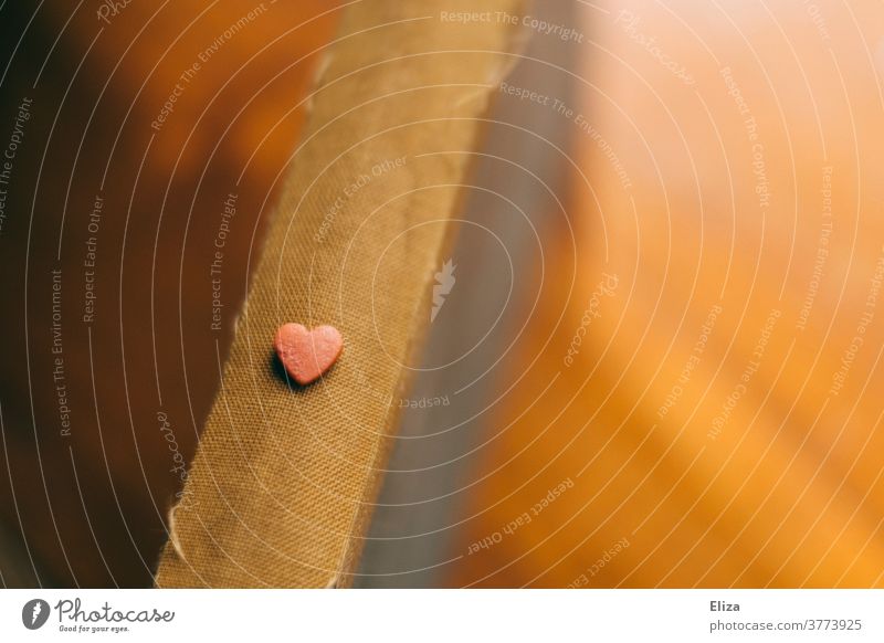 Little heart on book spine Heart Pink spine of a book Book Reading Love In love romance novel Literature Delicate Small Old