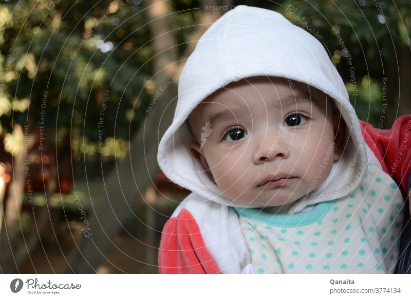 Perplexed baby staring into the camera Baby babyhood baby boy stare Cute cuteness adorable baby bewildered confused eyes twinkling eyes amazed astonished look