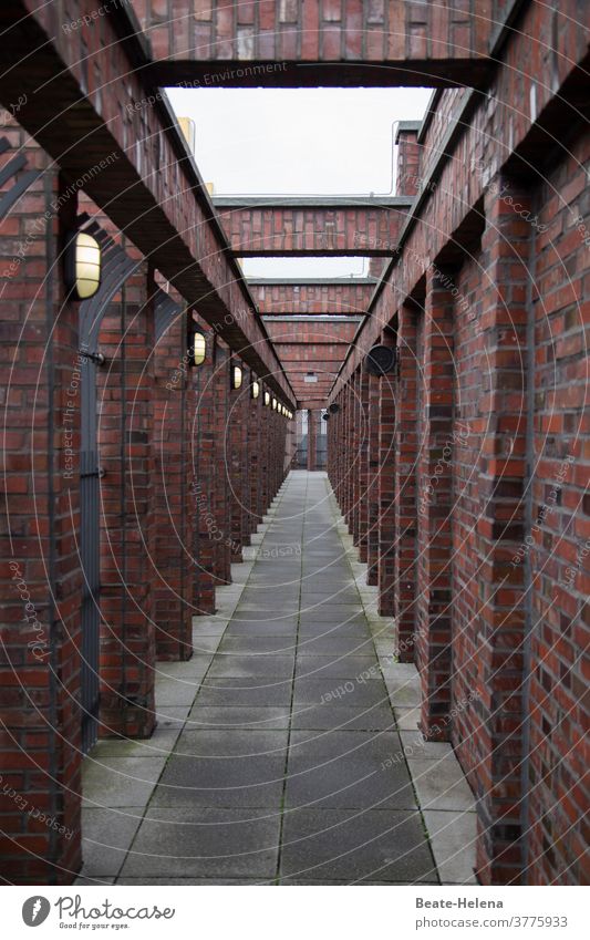 Modern portico passage Architecture Manmade structures Facade Deserted Modernism brick wall Exterior shot Structures and shapes Pattern Corridor Wall (barrier)