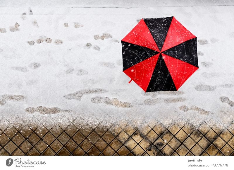 Woman holding a black and red umbrella under snow winter woman cold white trees december walk beautiful frozen person snowfall female season weather park nature