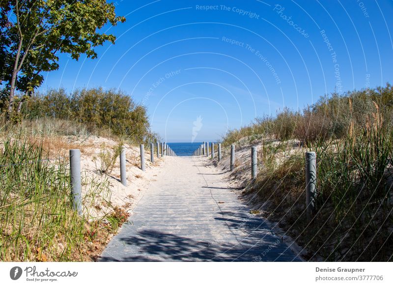 Way to the beach of the Baltic Sea on Usedom coast germany sea sky usedom way baltic ocean island vacation path sand dune grass horizon landscape summer water