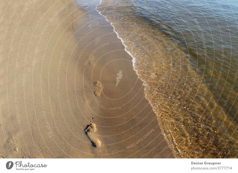 Footprints in the sand on the Baltic Sea Usedom Sand Beach vacation Nature Ocean Summer Water Sun coast bank Sky To go for a walk Landscape travel footprints