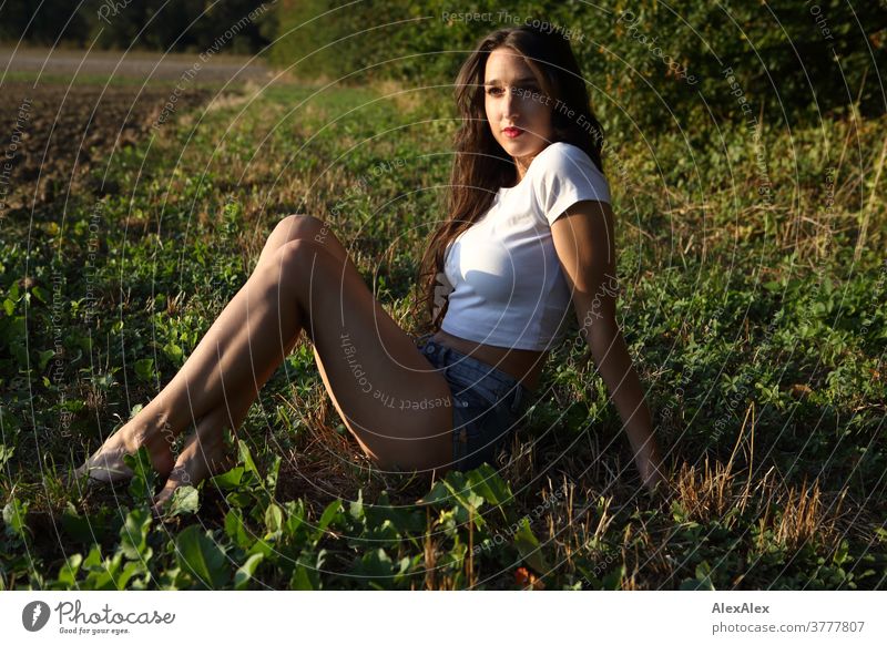 Portrait of a young woman sitting in the grass at the edge of a field in front of a forest portrait Woman already Near fit daintily Skin Face Blonde look Direct