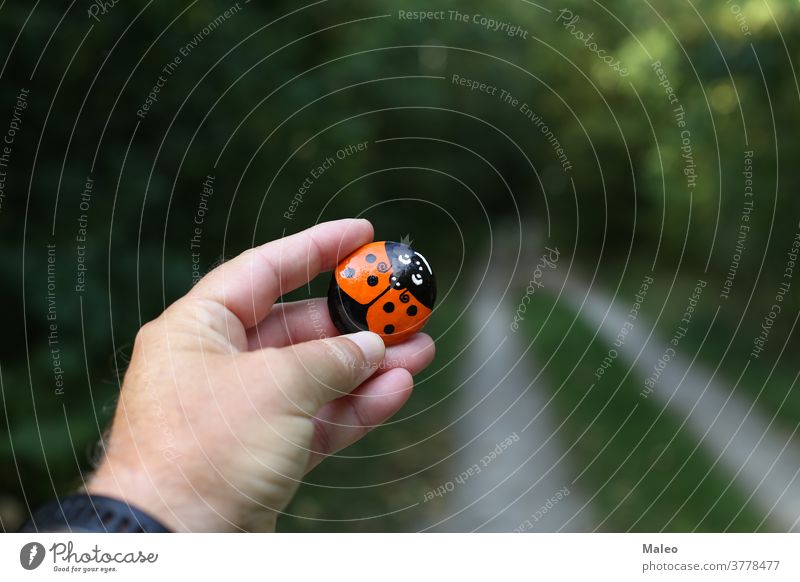 A painted hiking stone is left on the walking path for passersby to see beautiful hand adventure background border character color country cover creature