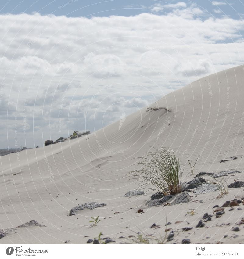 Sand dune with a tuft of dune grass and stones in front of a cloudy sky duene sand dune Marram grass Grass Sky Clouds Island North Sea Islands Wangerooge Summer