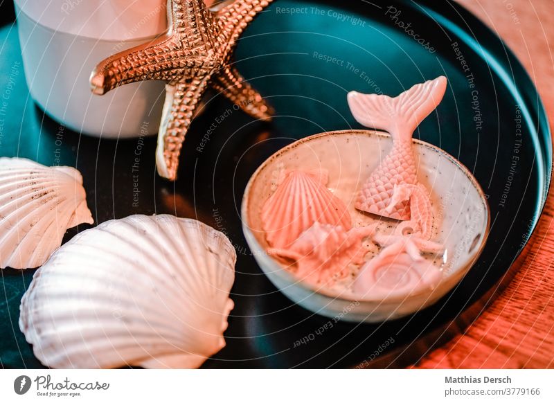 Mermaid Decoration decorations Seafood Seaside atmopshere Maritime Colour photo Close-up Creativity