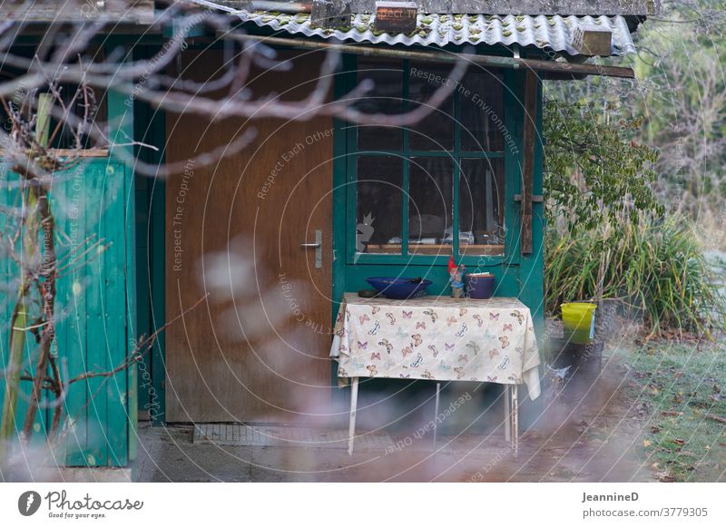 Garden house with winter atmosphere and a table in front of it Nature Love of nature Gardenhouse Exterior shot Garden plot hobby gardeners Winter light