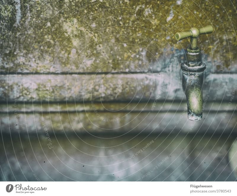 faucet Tap Rooster Water Drops of water Turn up Sink Bathroom bathroom