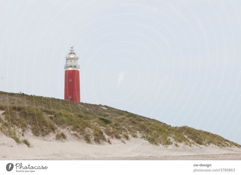 Lighthouse on Texel Illuminate Beacon Beach duene Netherlands North Sea Ocean Clouds coast Sky Exterior shot Colour photo Landscape Vacation & Travel Nature