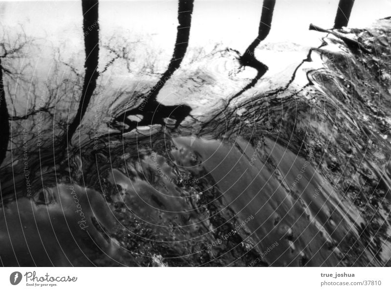 Watercourse bw Winter Lake Moody Nature Detail