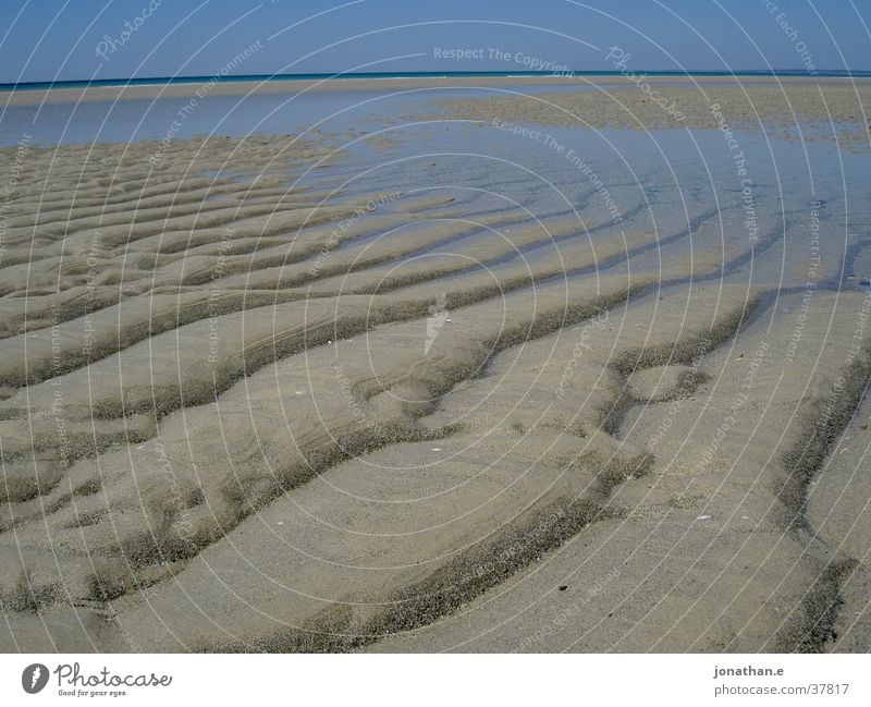 low tide Beach Ocean Atlantic Ocean Low tide Stripe France Water Sand Sky Tracks