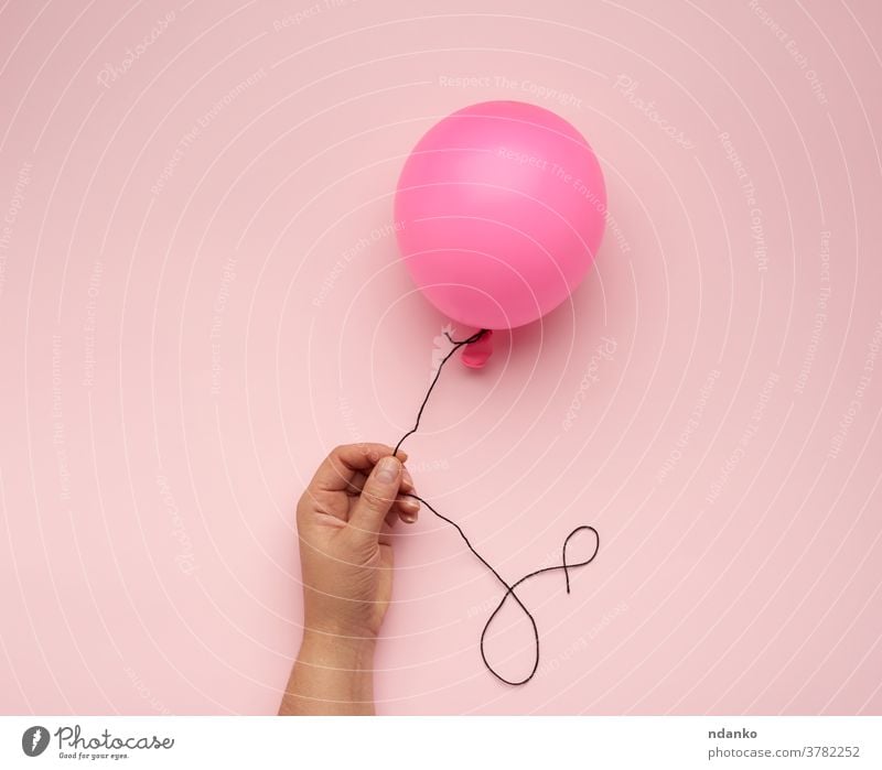 female hand holding an inflated pink air balloon on a pink background arm ballon blank closeup filled float helium inflatable one people ribbon rubber shiny